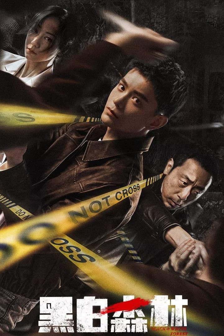 Poster di 黑白森林