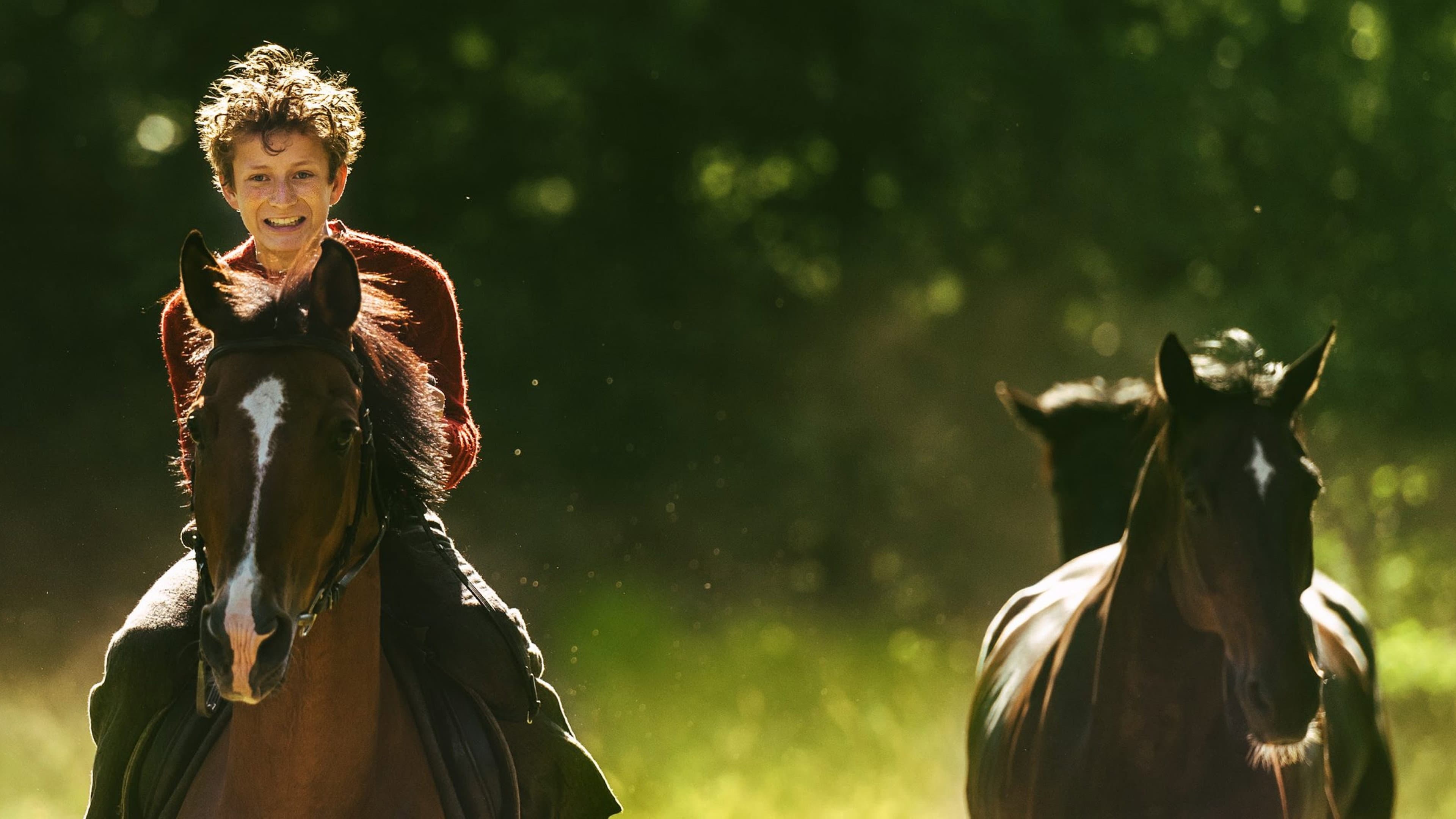 Out Stealing Horses - Il passato ritorna - immagine