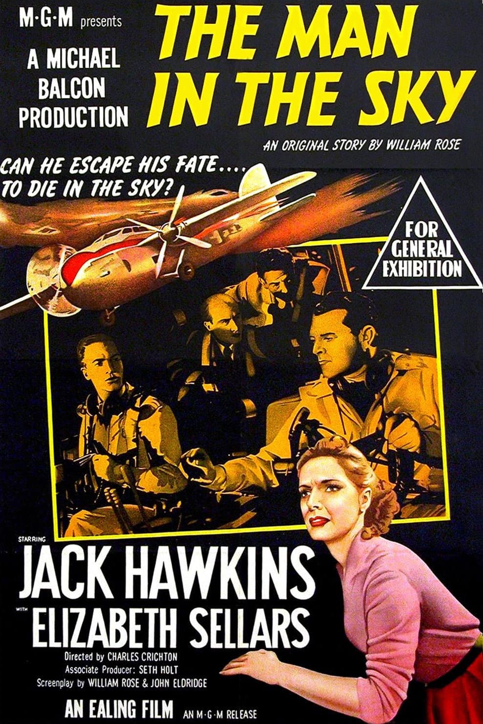 Poster di L'uomo nel cielo
