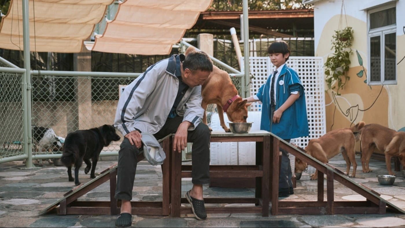 得寵先生 - immagine