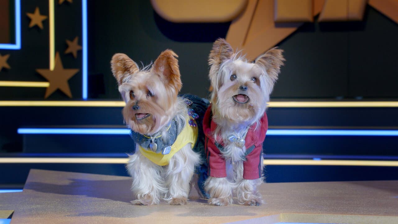 Pup Star: Better 2Gether - immagine