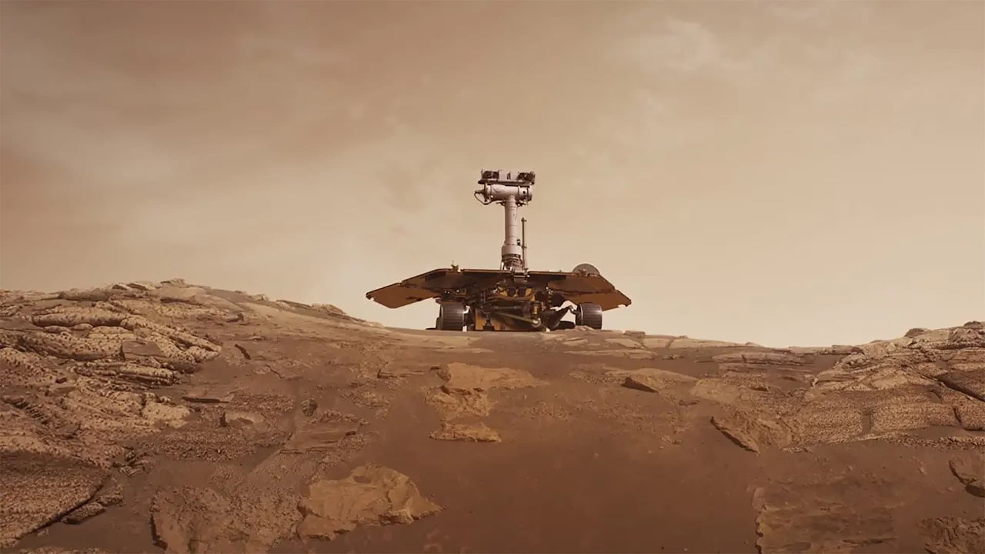 Buonanotte Oppy - immagine
