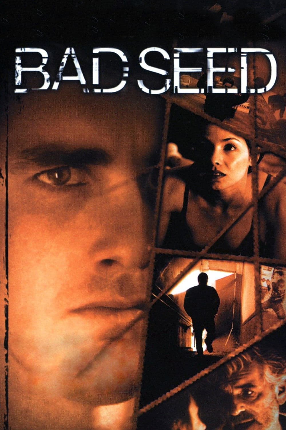 Poster di Bad Seed