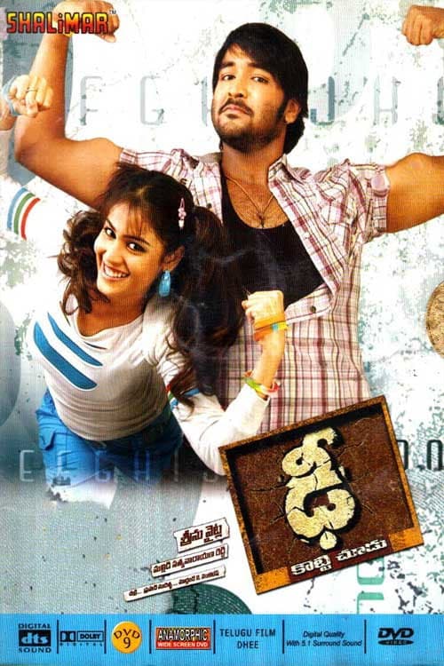 Poster di ఢీ