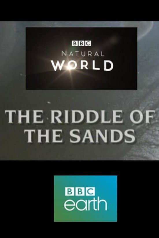 Poster di The Riddle of the Sands