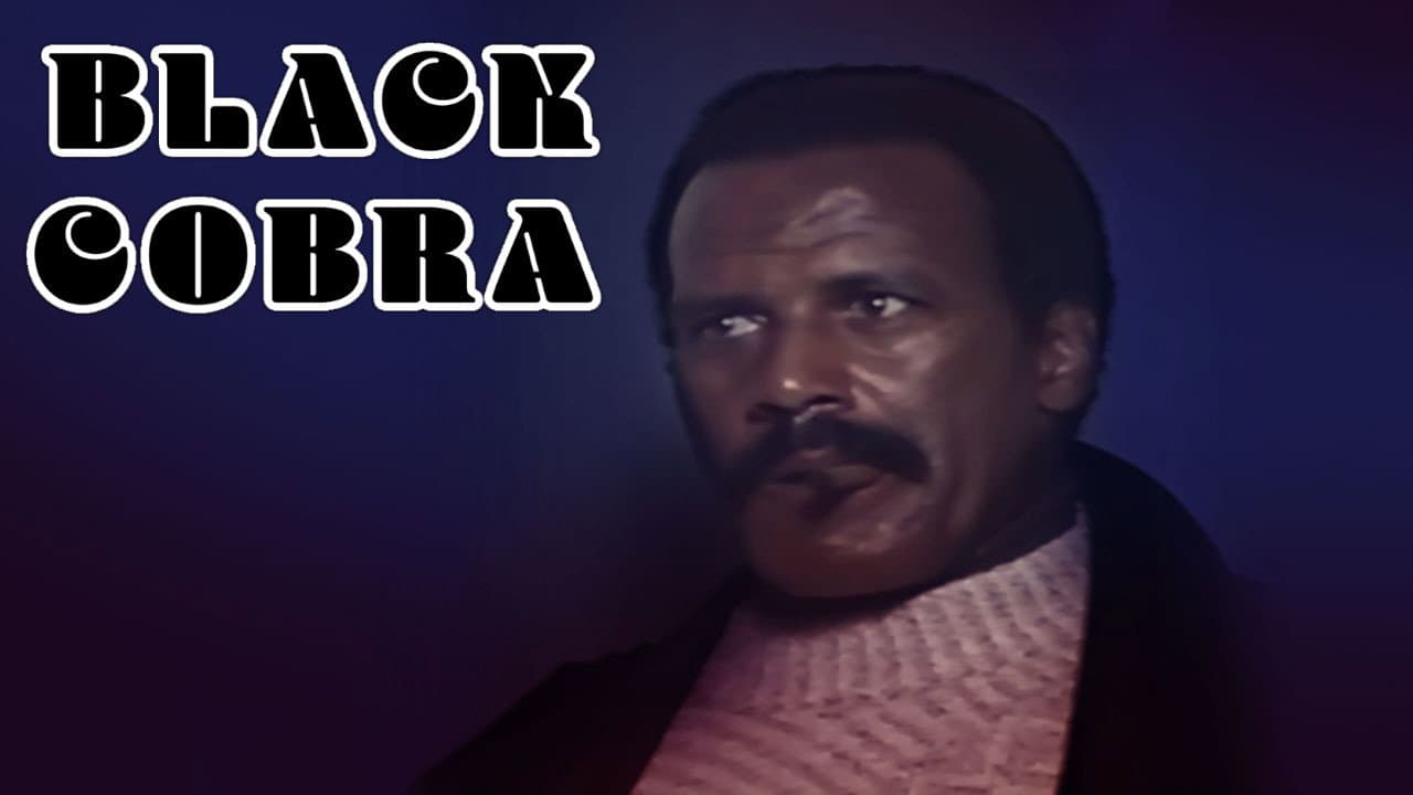 Cobra nero - immagine