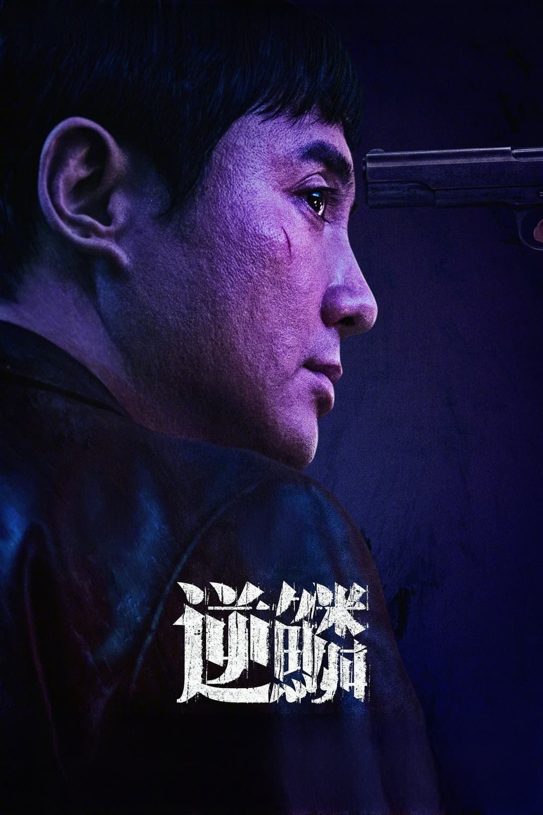 Poster di 逆鳞
