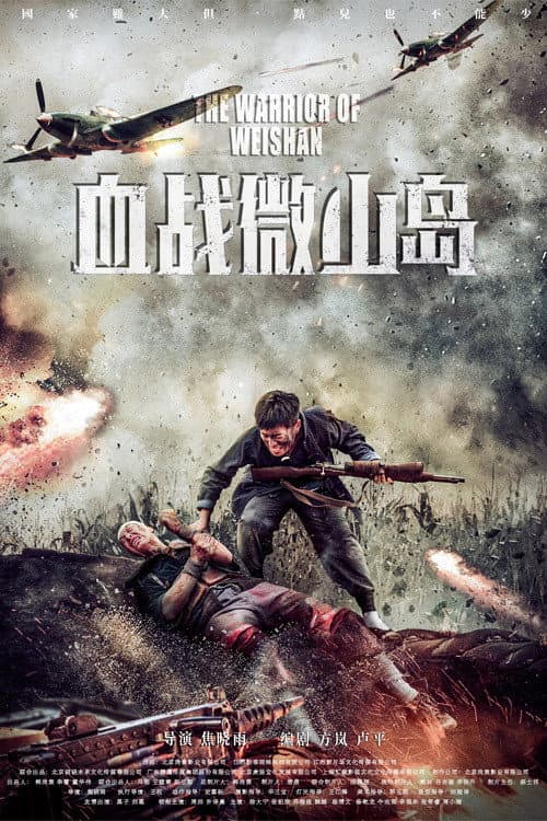 Poster di 血战微山岛