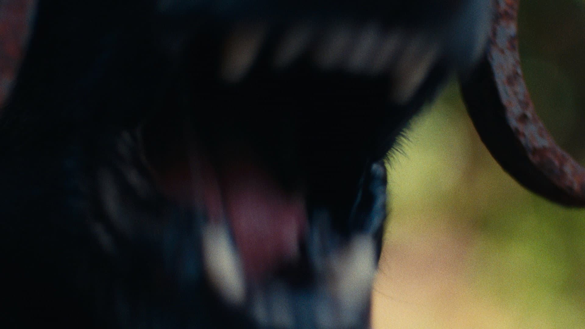 Biter - immagine