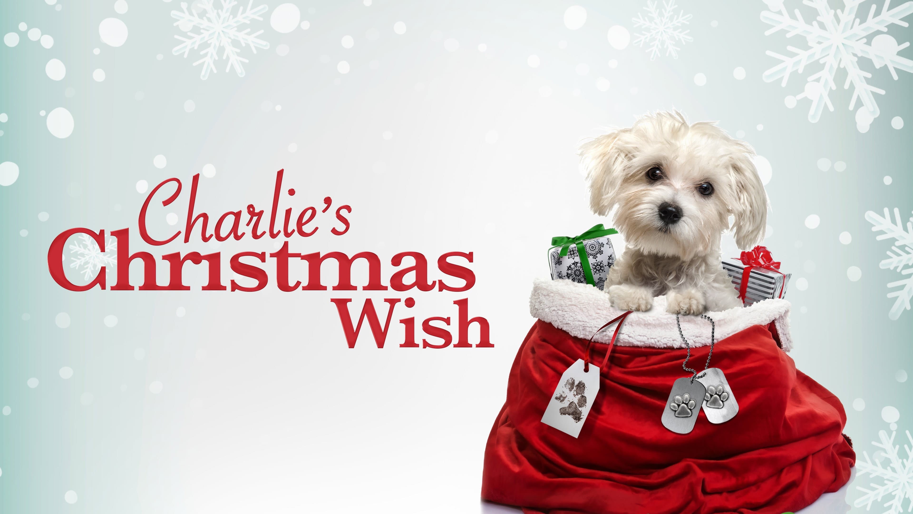 Charlie's Christmas Wish - immagine