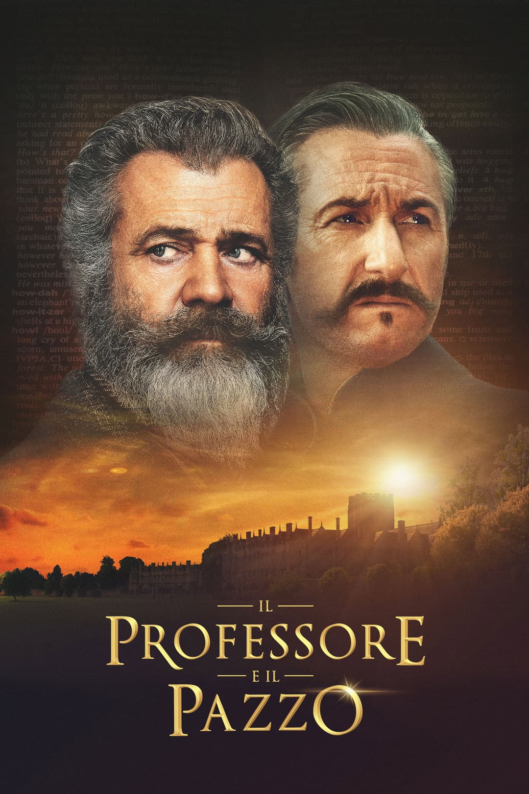 Poster di Il professore e il pazzo