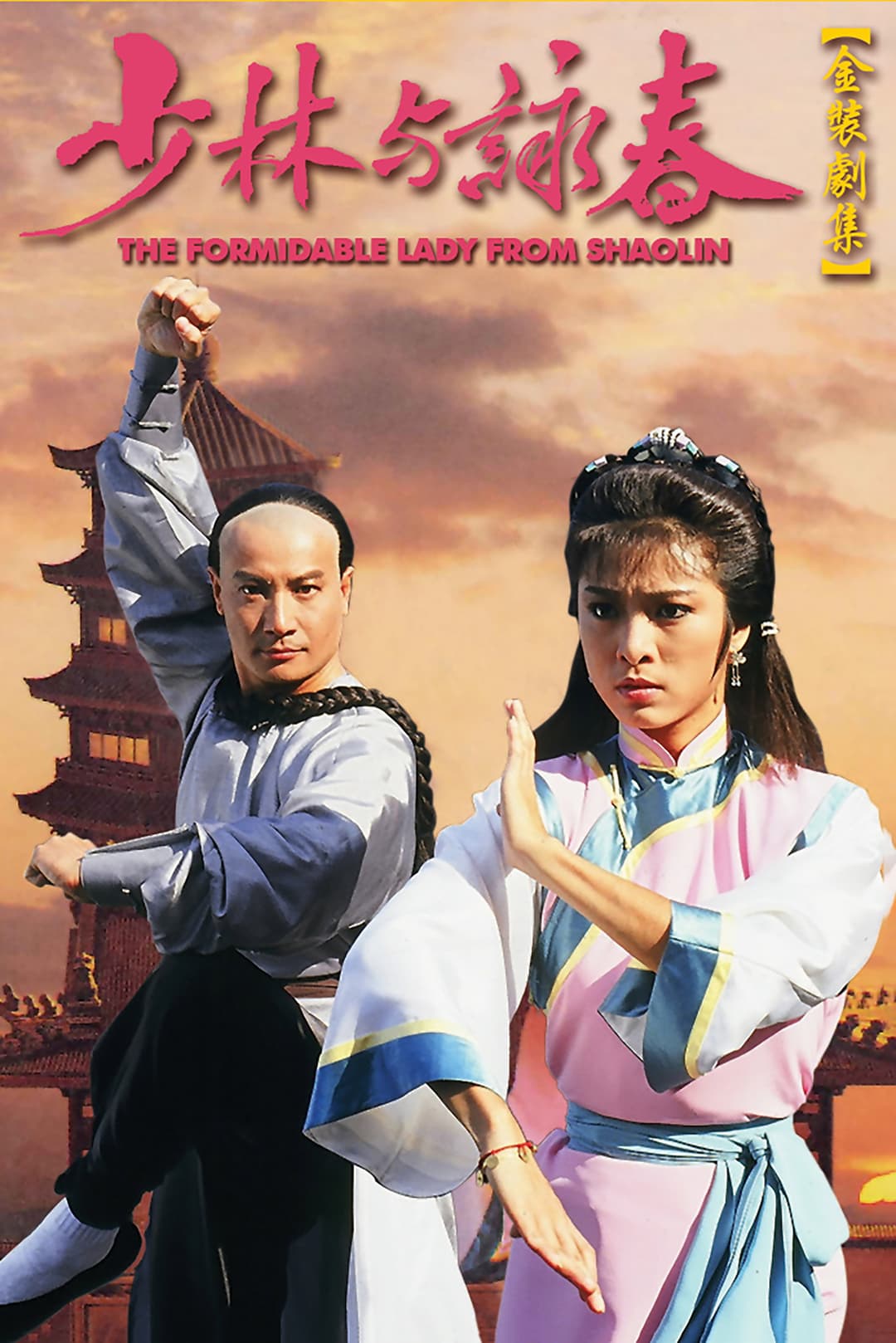 Poster di 少林與詠春