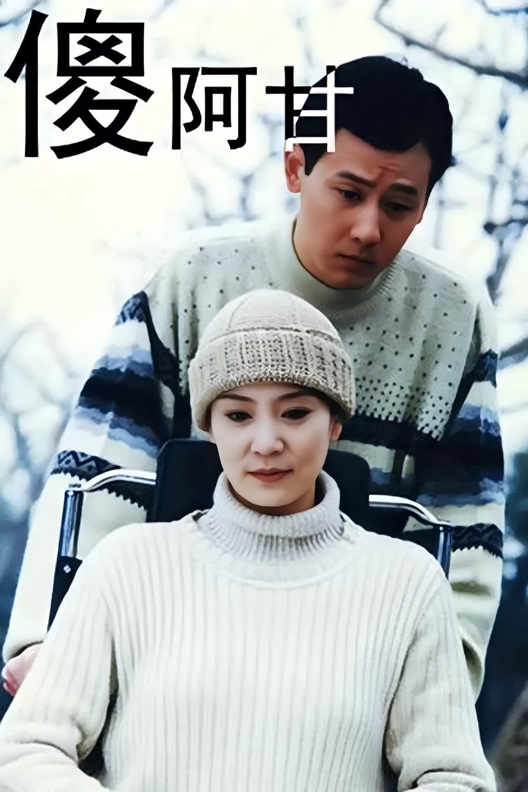 Poster di 傻阿甘