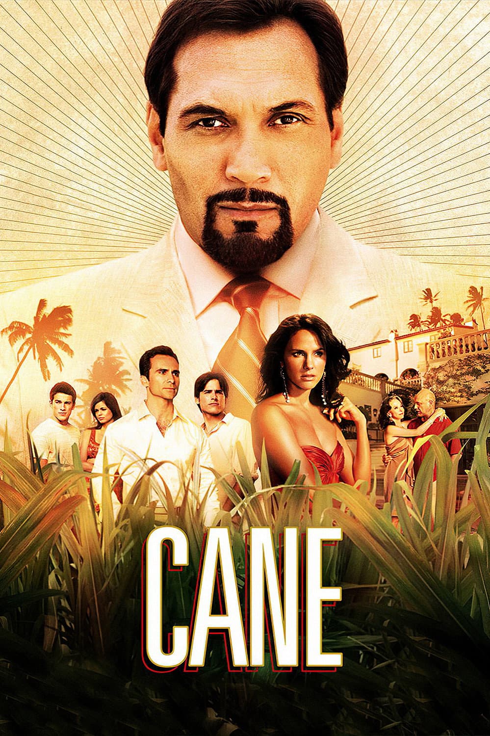 Poster di Cane
