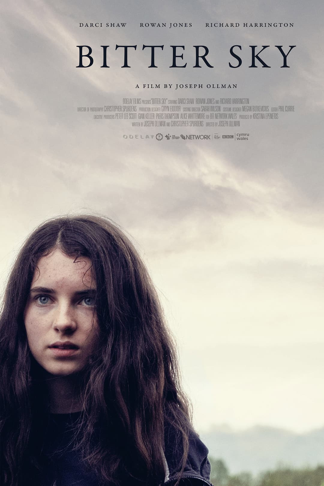 Poster di Bitter Sky