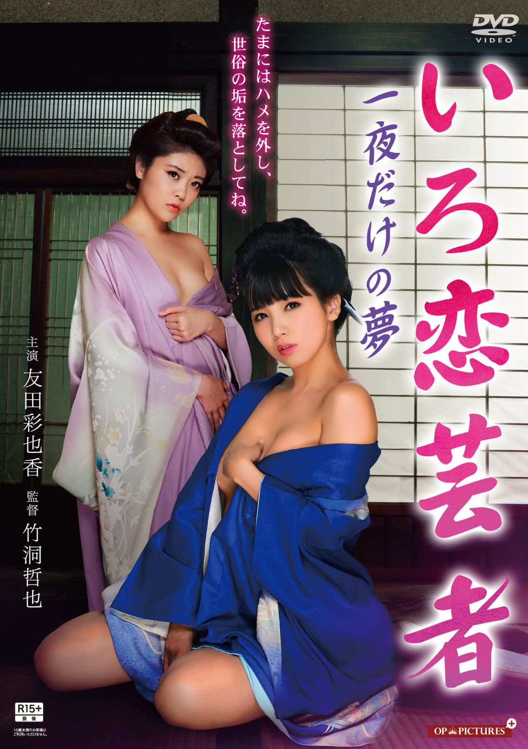 Poster di 湯けむり温泉芸者 お座敷で枕芸