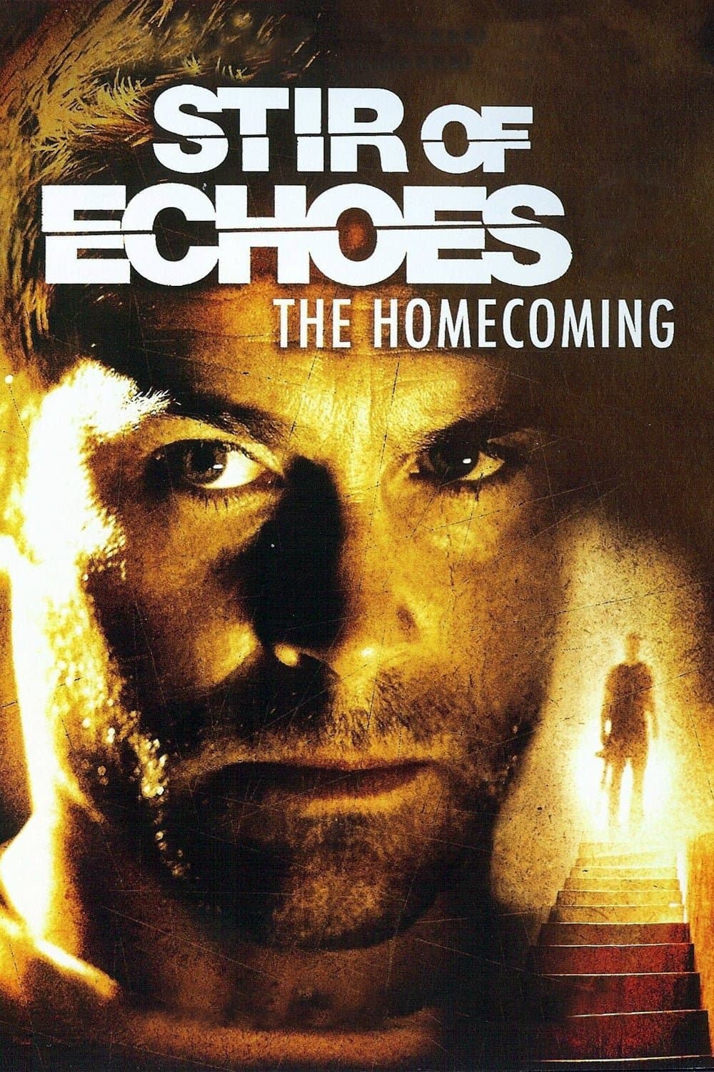 Poster di Stir of Echoes: The Homecoming