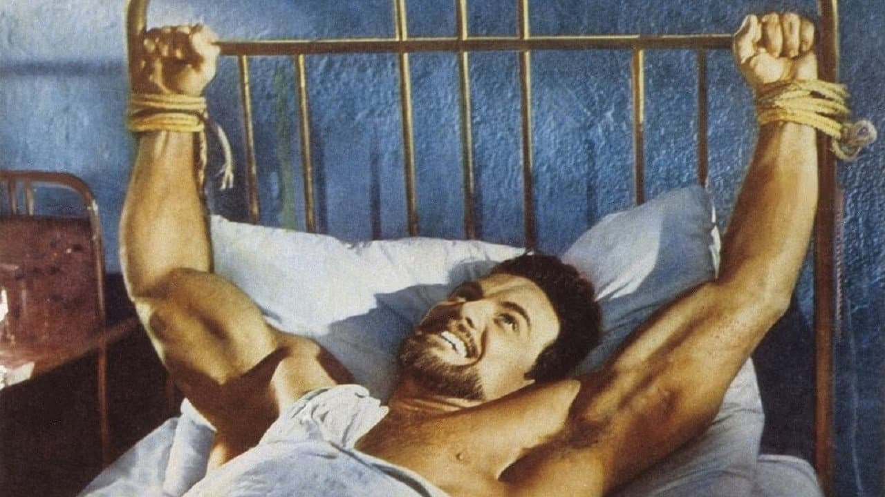 Agi Murad, il diavolo bianco - immagine