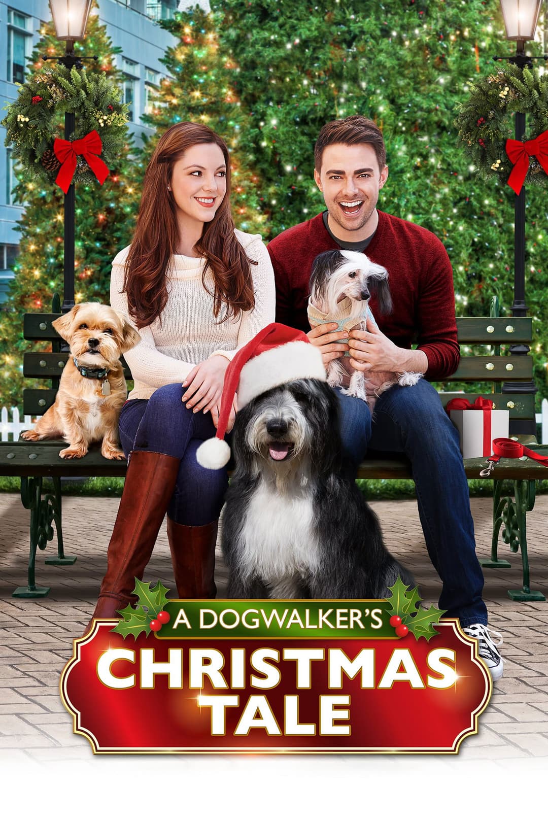 Poster di A Dogwalker's Christmas Tale