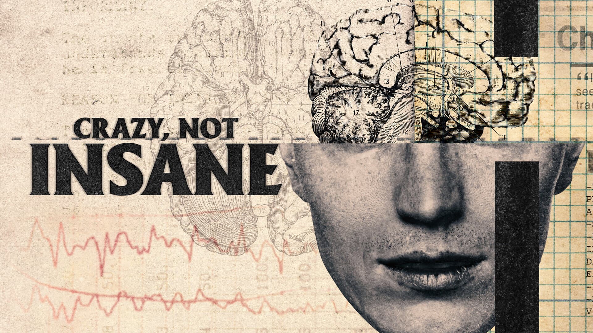 Crazy, Not Insane - immagine