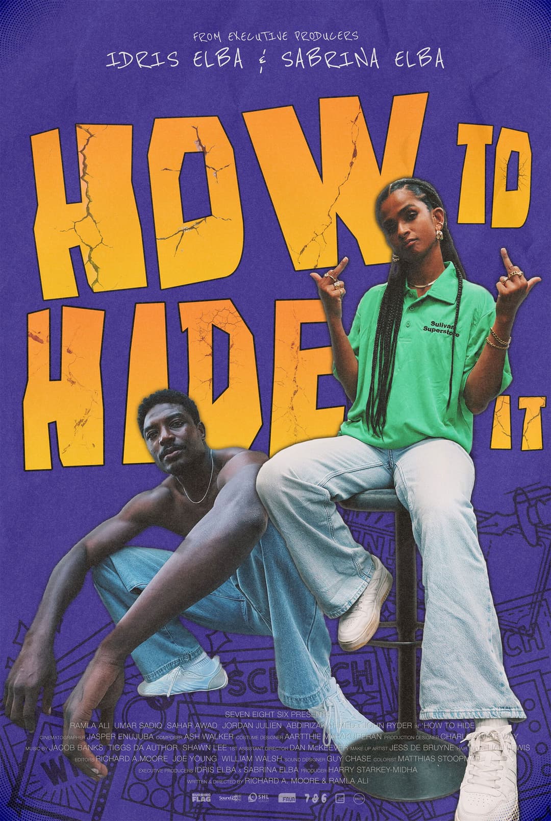 Poster di How To Hide It