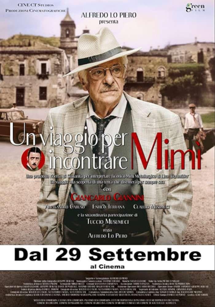 Poster di Un viaggio per incontrare Mimì