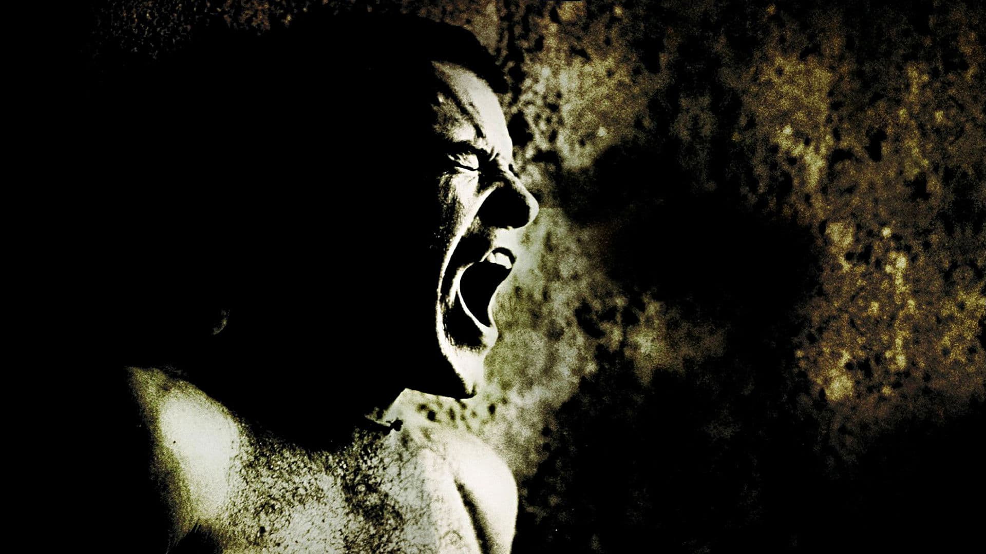 Fuga di mezzanotte - immagine