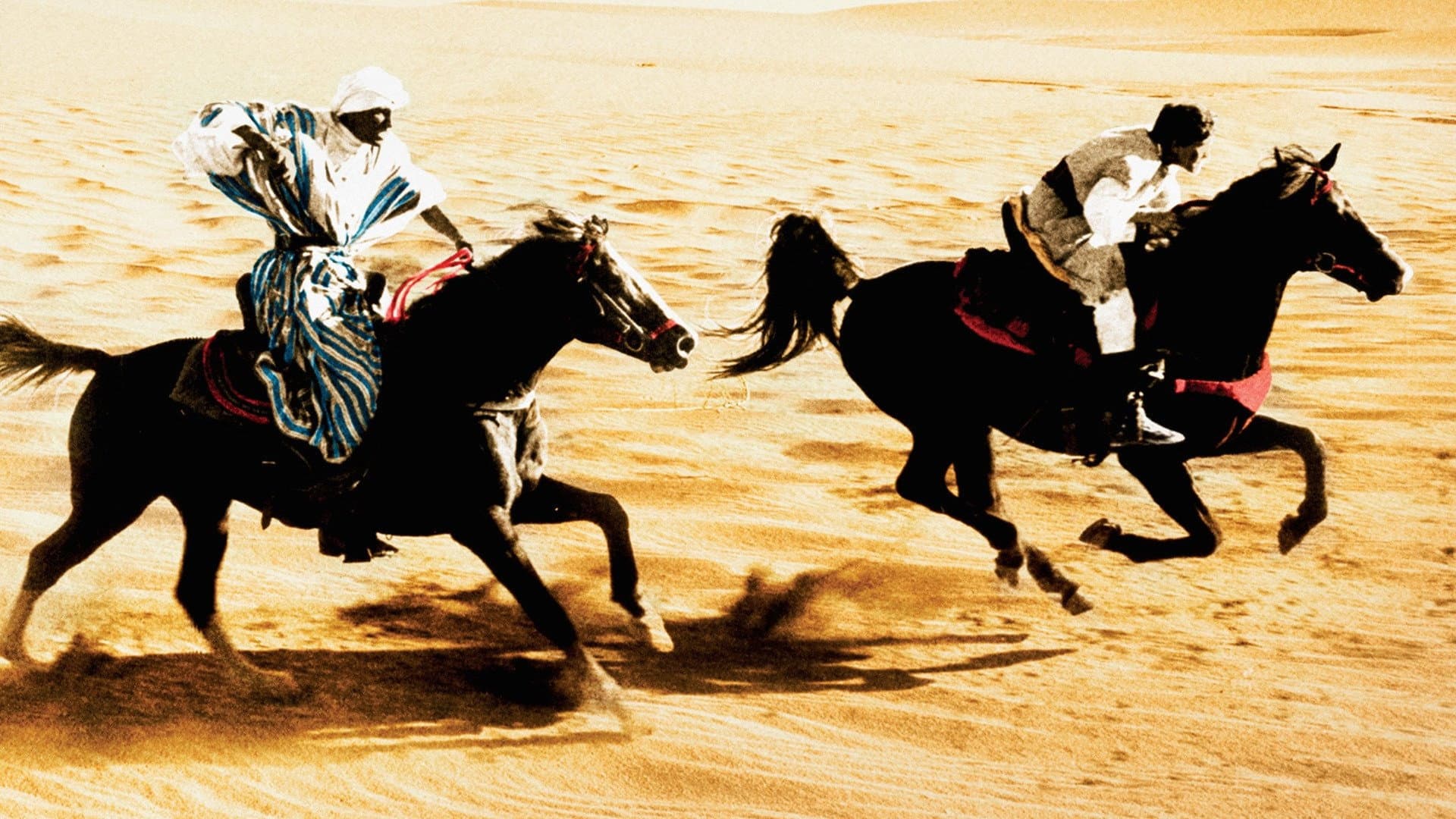 Il ritorno di Black Stallion - immagine