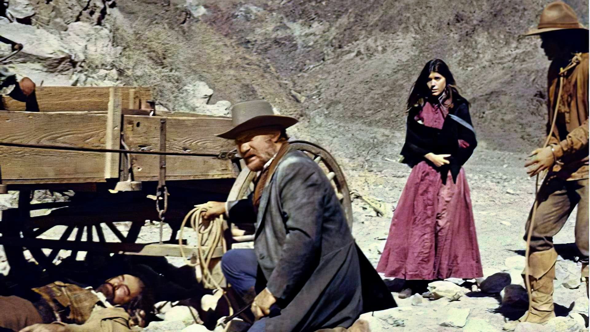 La mia pistola per Billy - immagine