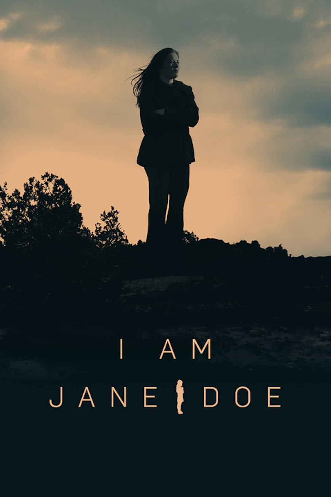Poster di I Am Jane Doe