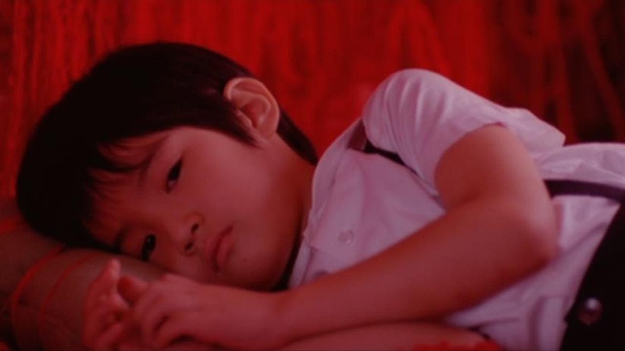 아카시아 - immagine