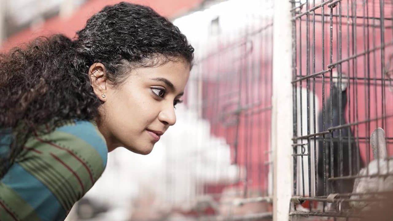 ഹെലൻ - immagine