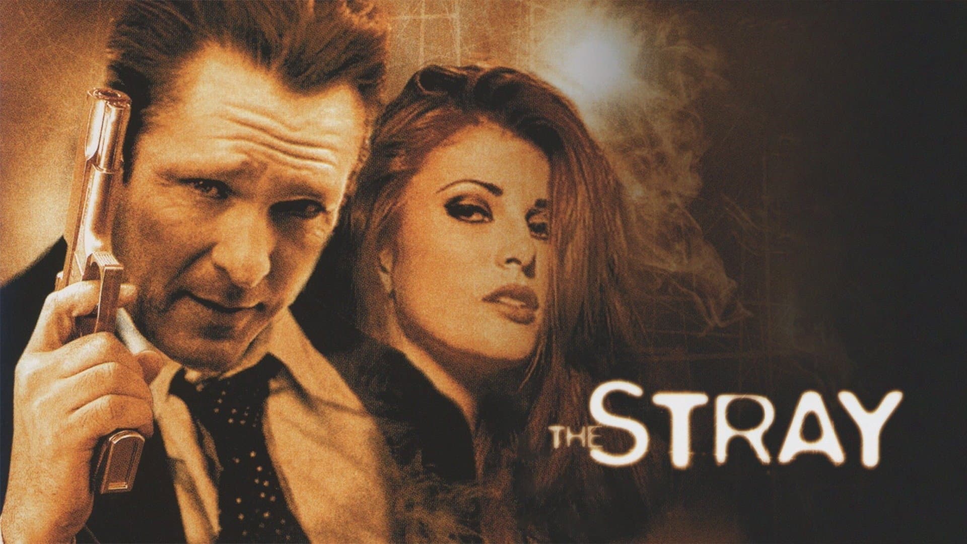 The Stray - immagine