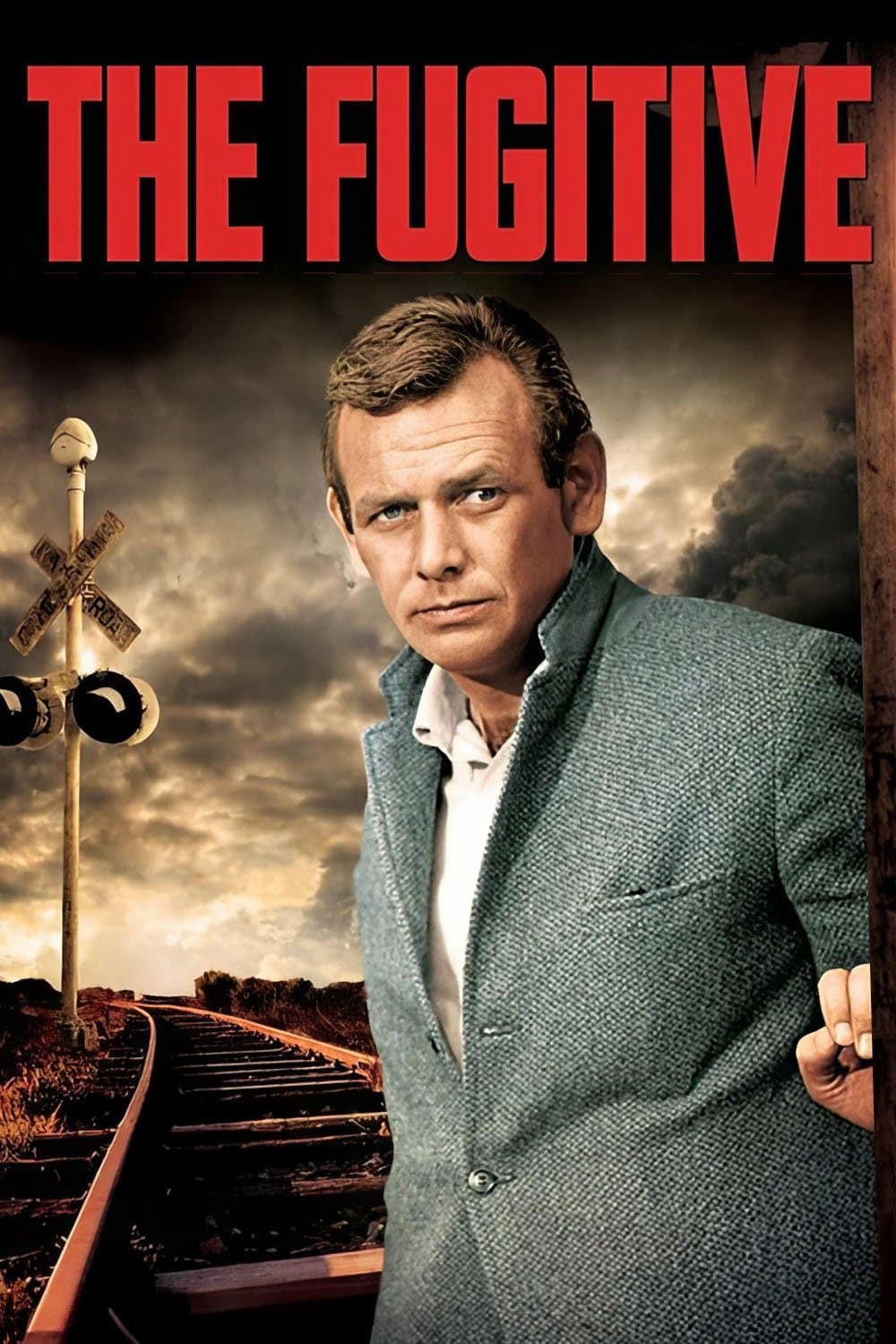 Poster di The Fugitive