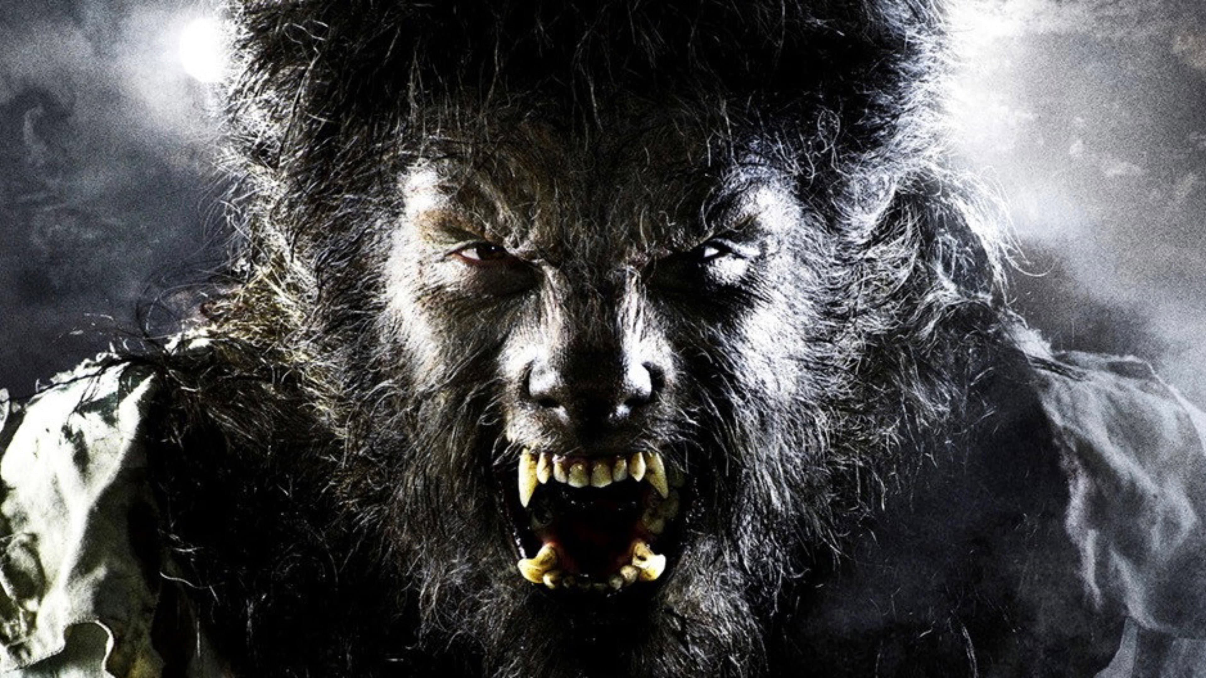 Wolfman - immagine