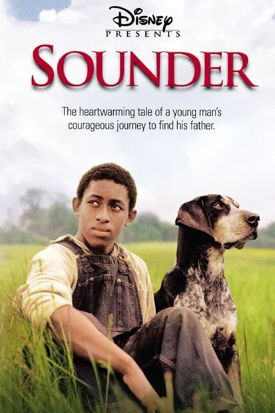 Poster di Sounder