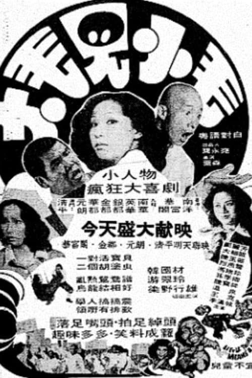 Poster di 大毛見小毛