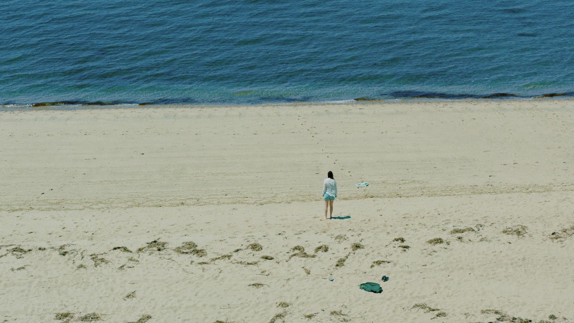 The Beach House - immagine