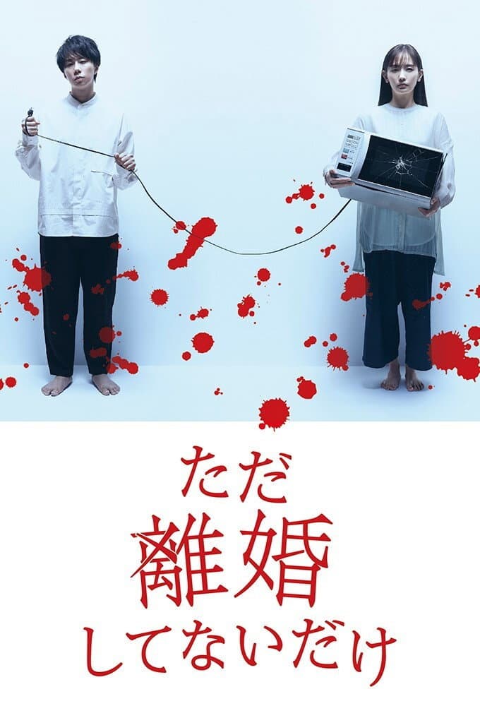 Poster di ただ離婚してないだけ