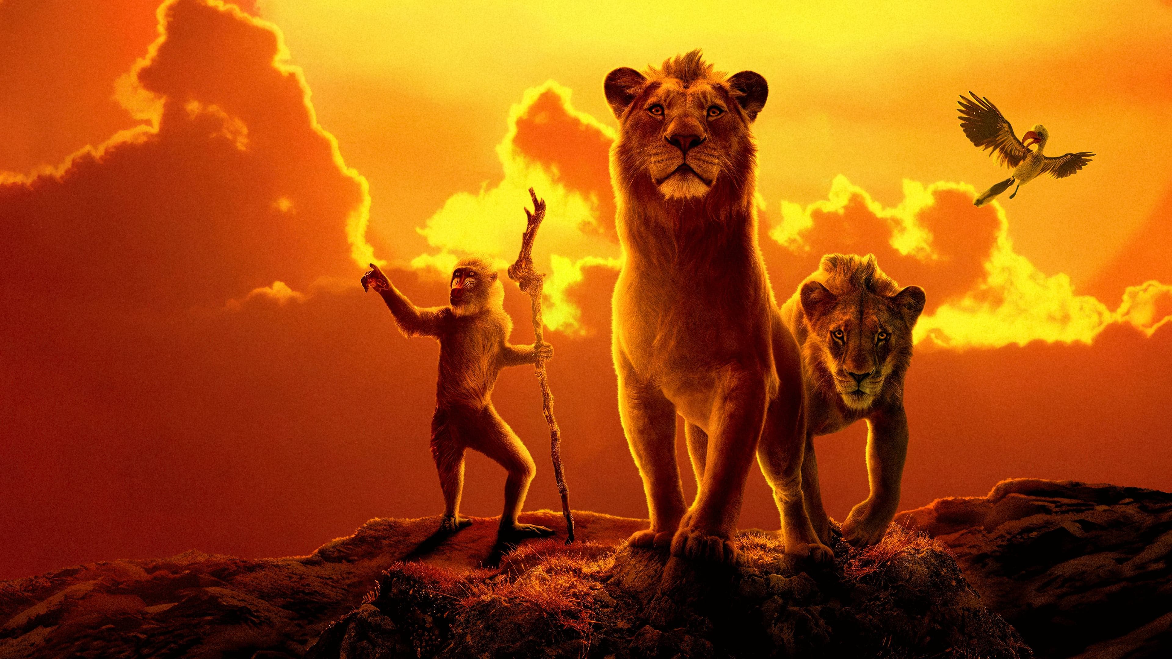Mufasa - Il re leone - immagine