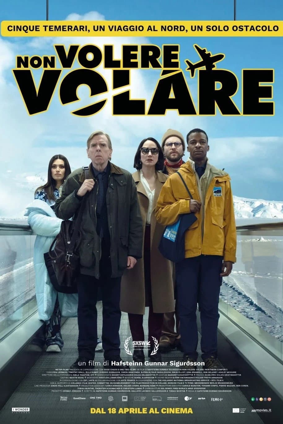 Poster di Non volere volare