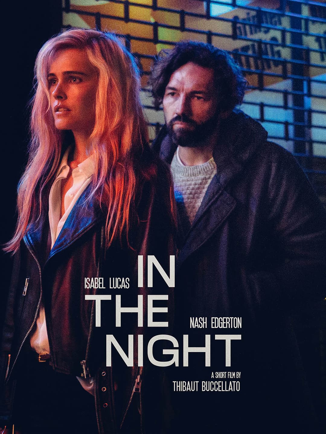 Poster di In The Night