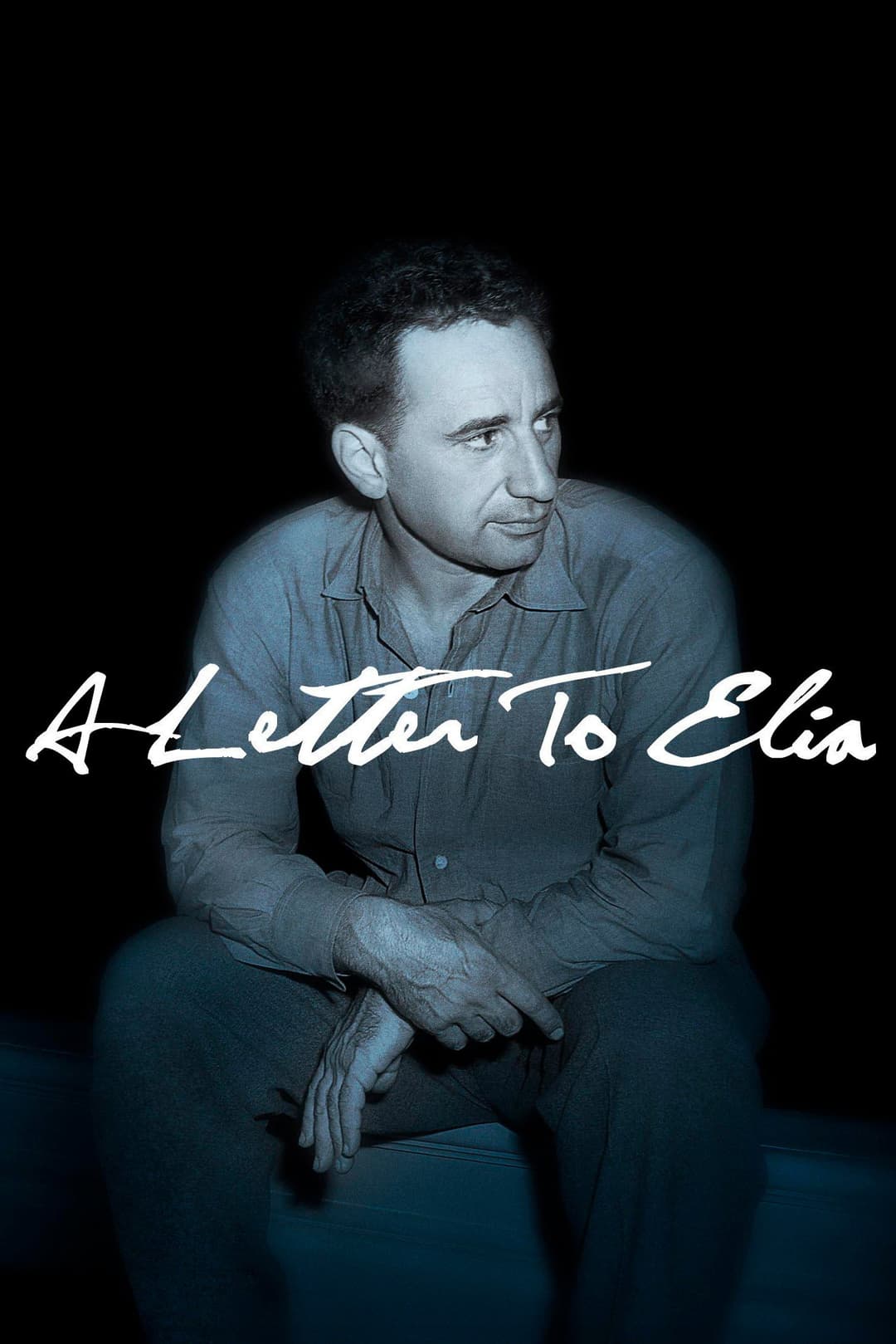 Poster di A Letter to Elia