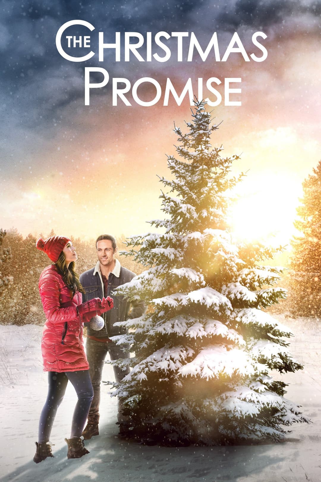 Poster di Ricomincio dal Natale