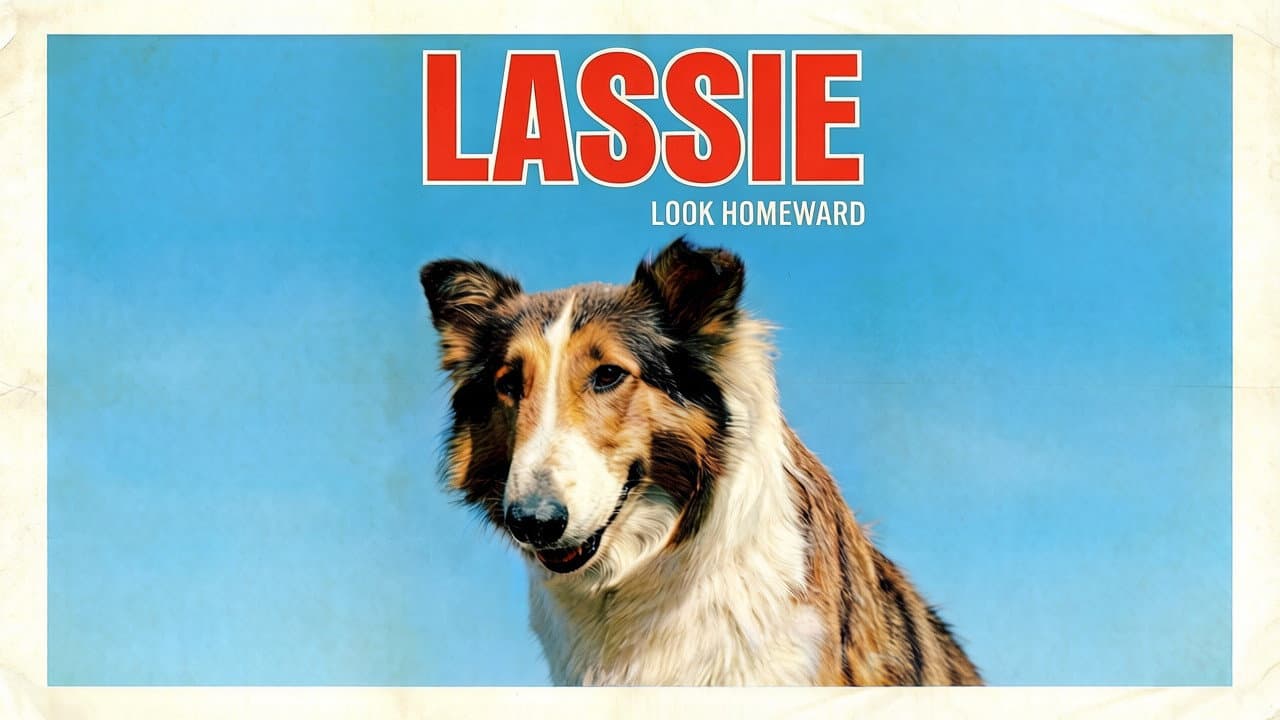 Look Homeward - immagine