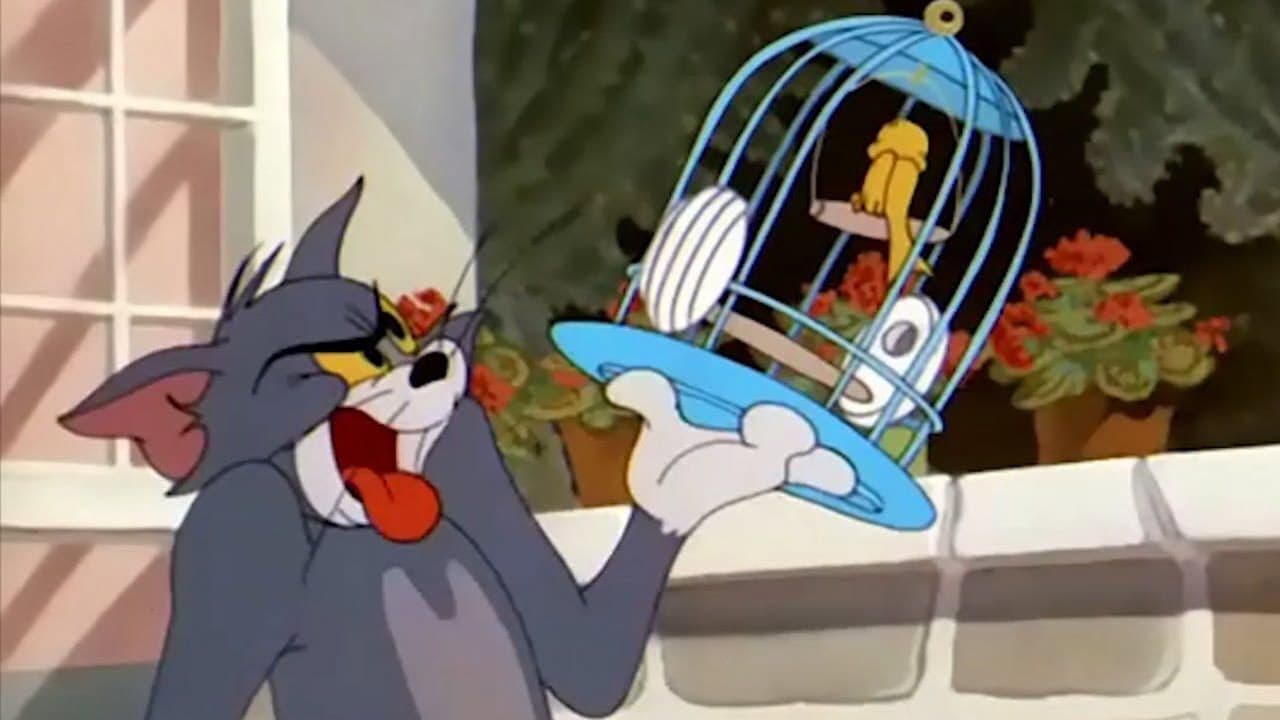 Il gatto volante - immagine