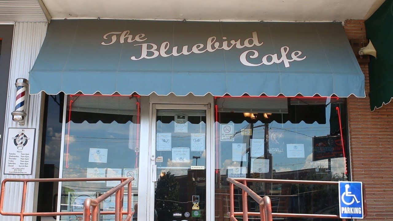 Bluebird - immagine