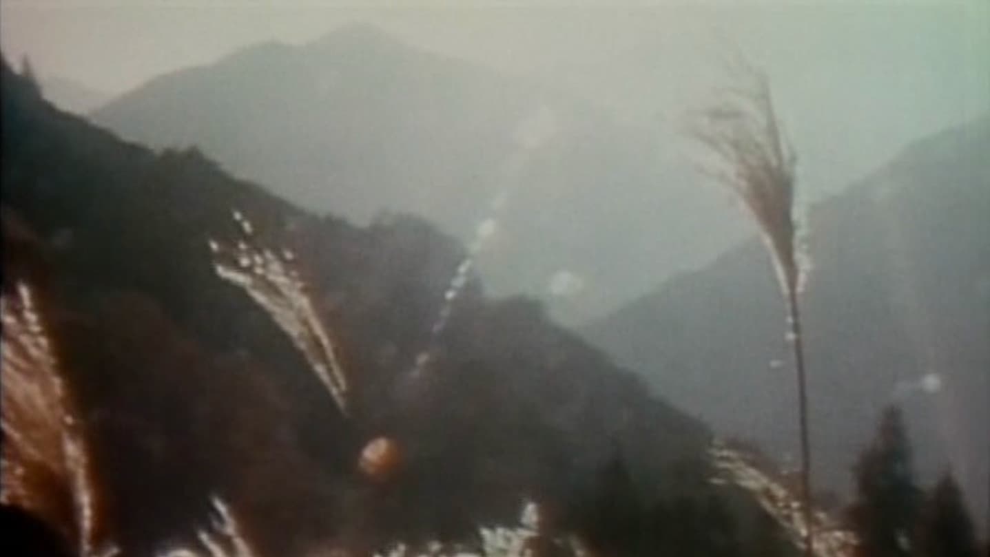 杣人物語 - immagine