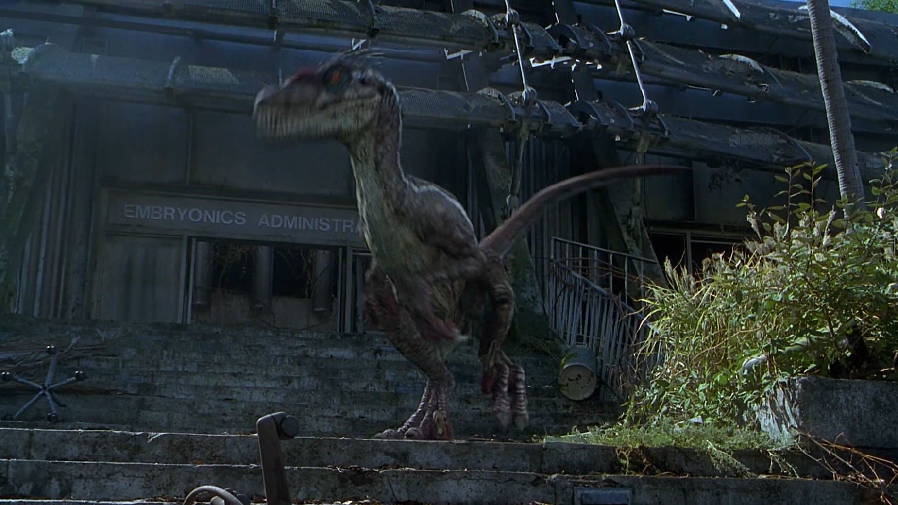 Beyond Jurassic Park - immagine