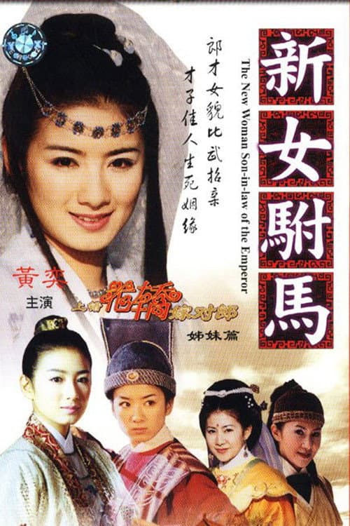 Poster di 新女驸马